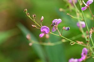 2025-08049967 Broad Meadow Brook, MA